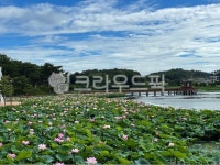 연호정, 호수, 연꽃호수, 연꽃, 연잎, 사진,이미지,일러스트,캘리그라피 - 도시농부anne작가 크라우드픽 - 저작권 걱정 없는 상업용 이미지