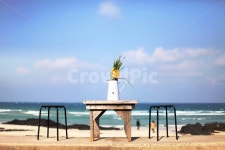 제주도, 세화해수욕장, 광안대교, 동백섬, 여행, 사진,이미지,일러스트,캘리그라피 - Njae36043작가 크라우드픽 - 저작권 걱정 없는 상업용 이미지