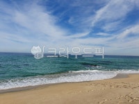 nature, 자연, 바다, ocean, 대양, 사진,이미지,일러스트,캘리그라피 - 황금도화지작가 크라우드픽 - 저작권 걱정 없는 상업용 이미지