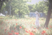 남원, 남원역, 향기원, 꽃, 모델 사진, 이미지 - Capturelife작가 가장 한국적인 스톡 사진 - 크라우드픽