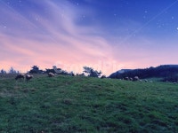 풍경, 한국, 초원, 감성사진, 하늘, 사진,이미지,일러스트,캘리그라피 - 2stkayr작가 크라우드픽 - 저작권 걱정 없는 상업용 이미지