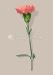 삶을디자인하다봄꽃 | 봄, 식물, 자연, 꽃, 봄꽃, 사진,이미지,일러스트,캘리그라피 - 유자디자인작가 크라우드픽 - 저작권 걱정 없는 상업용 이미지