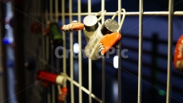 야경, 감성, 야간, 감성사진, 자물쇠, 사진,이미지,일러스트,캘리그라피 - Supremer작가 크라우드픽 - 저작권 걱정 없는 상업용 이미지