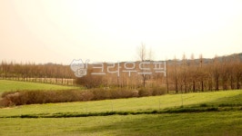 들판, 태신목장, 필드, 노을, 감성들판, 사진,이미지,일러스트,캘리그라피 - danhana작가 크라우드픽 - 저작권 걱정 없는 상업용 이미지