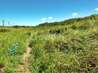 월정마을안길, 올레20코스, 올레, 수풀, 제주, 사진,이미지,일러스트,캘리그라피 - Deep bLUE작가 크라우드픽 - 저작권 걱정 없는 상업용 이미지