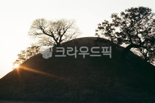경주시, 봉황대, 왕릉, 고분, 나무, 사진,이미지,일러스트,캘리그라피 - 아날로그 소년작가 크라우드픽 - 저작권 걱정 없는 상업용 이미지