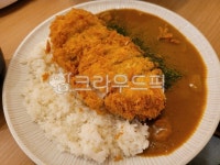 curry, 카레, food, 음식, plate, 사진,이미지,일러스트,캘리그라피 - ysy3497작가 크라우드픽 - 저작권 걱정 없는 상업용 이미지
