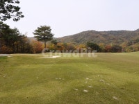 field, 들, outdoors, 옥외, 골프, 사진,이미지,일러스트,캘리그라피 - Nkmknim작가 크라우드픽 - 저작권 걱정 없는 상업용 이미지