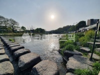 길, 보도, 자연, road, 도로, 사진,이미지,일러스트,캘리그라피 - 샤랄라정작가 크라우드픽 - 저작권 걱정 없는 상업용 이미지