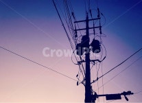 전봇대, 전선, 안개, 풍경, 감성, 사진,이미지,일러스트,캘리그라피 - 파란네모작가 크라우드픽 - 저작권 걱정 없는 상업용 이미지