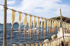 한치, 바다, 건어물, 해산물, sea, 사진,이미지,일러스트,캘리그라피 - 지니쯔작가 크라우드픽 - 저작권 걱정 없는 상업용 이미지