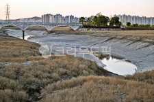 소래습지생태공원, 생태공원, 인천시, 갯골, 소래포구, 사진,이미지,일러스트,캘리그라피 - Deep bLUE작가 크라우드픽 - 저작권 걱정 없는... 