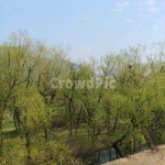 풍경, 자연, 나무, 배경, 하늘, 사진,이미지,일러스트,캘리그라피 - 포토픽 100작가 크라우드픽 - 저작권 걱정 없는 상업용 이미지