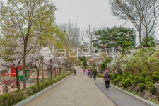 어린이대공원, 서울어린이대공원, 산책, 산책로, 서울, 사진,이미지,일러스트,캘리그라피 - imlover작가 크라우드픽 - 저작권 걱정 없는 상업용... 