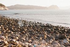 조약돌, 해안선, 돌, 바닷가, 해변, 사진,이미지,일러스트,캘리그라피 - bbutter작가 크라우드픽 - 저작권 걱정 없는 상업용 이미지