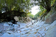 방선문계곡, 계곡, 골짜기, 제주도, nature, 사진,이미지,일러스트,캘리그라피 - 일(sun)작가 크라우드픽 - 저작권 걱정 없는 상업용 이미지