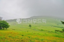 대관령, 삼양목장, 산, 자연, 능선, 사진,이미지,일러스트,캘리그라피 - 연산55작가 크라우드픽 - 저작권 걱정 없는 상업용 이미지