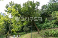 공원, park, 정원, garden, 나무, 사진,이미지,일러스트,캘리그라피 - 헝그리작가작가 크라우드픽 - 저작권 걱정 없는 상업용 이미지