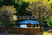 nature, 시골집, 봄날, 자연, 건물, 사진,이미지,일러스트,캘리그라피 - Nohenry1작가 크라우드픽 - 저작권 걱정 없는 상업용 이미지