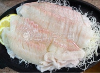 광어회, 생선회, 회, 광어, 생선, 사진,이미지,일러스트,캘리그라피 - 먹방작가 크라우드픽 - 저작권 걱정 없는 상업용 이미지