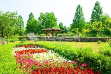 nature, 옥외, outdoors, 공원, park, 사진,이미지,일러스트,캘리그라피 - 운사작가 크라우드픽 - 저작권 걱정 없는 상업용 이미지