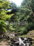 비슬산, 계곡, 자연, 폭포, 힐링, 사진,이미지,일러스트,캘리그라피 - 2vs2작가 크라우드픽 - 저작권 걱정 없는 상업용 이미지
