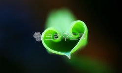 녹색, green, 잎, 하트, 사랑, 사진,이미지,일러스트,캘리그라피 - 고운경작가 크라우드픽 - 저작권 걱정 없는 상업용 이미지