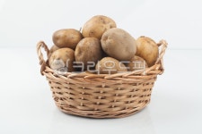 감자, 농사, 열매, 자연, 농작물, 사진,이미지,일러스트,캘리그라피 - 박프로 진Studio작가 크라우드픽 - 저작권 걱정 없는 상업용 이미지