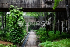 선유도, 공원, 울창한풍경, 다리, 교각, 사진,이미지,일러스트,캘리그라피 - 우리들작가 크라우드픽 - 저작권 걱정 없는 상업용 이미지