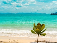 beach, coast, 여름, 바다, 해변, 사진,이미지,일러스트,캘리그라피 - Sion작가 크라우드픽 - 저작권 걱정 없는 상업용 이미지