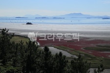 순천, 순천만, 습지, 람사르습지, 용산전망대, 사진,이미지,일러스트,캘리그라피 - Nbjaru작가 크라우드픽 - 저작권 걱정 없는 상업용 이미지