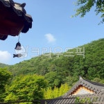 절, 풍경, 한국, 숲, 사찰, 사진,이미지,일러스트,캘리그라피 - prpr99작가 크라우드픽 - 저작권 걱정 없는 상업용 이미지