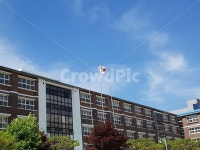 송북초, 송북초등학교, 전주, 초등학교, 하늘, 사진,이미지,일러스트,캘리그라피 - 현아_HYUNA작가 크라우드픽 - 저작권 걱정 없는 상업용 이미지