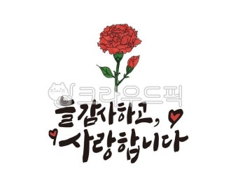어버이날, 부모님, 카네이션, 어머니, 아버지, 사진,이미지,일러스트,캘리그라피 - 글씨팩토리작가 크라우드픽 - 저작권 걱정 없는 상업용 이미지
