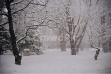 눈, 겨울, 필름카메라, 풍경, 자연, 사진,이미지,일러스트,캘리그라피 - Nanning9작가 크라우드픽 - 저작권 걱정 없는 상업용 이미지