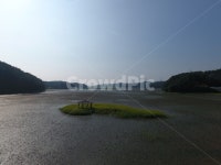 저수지, 정자, 배경, 풍경, 드론촬영, 사진,이미지,일러스트,캘리그라피 - 하루끝에작가 크라우드픽 - 저작권 걱정 없는 상업용 이미지