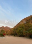 road, 도로, hill, 언덕, nature, 사진,이미지,일러스트,캘리그라피 - 삐약삐약쓰작가 크라우드픽 - 저작권 걱정 없는 상업용 이미지