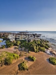 제주도, jeju, 바다, 해안, 해안선, 사진,이미지,일러스트,캘리그라피 - 커다란 곰돌이작가 크라우드픽 - 저작권 걱정 없는 상업용 이미지