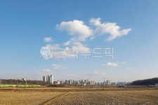 시골, 전원, 논, 밭, 농로, 사진,이미지,일러스트,캘리그라피 - Deep bLUE작가 크라우드픽 - 저작권 걱정 없는 상업용 이미지