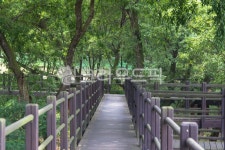 nature, 자연, 옥외, outdoors, 데크, 사진,이미지,일러스트,캘리그라피 - studio H작가 크라우드픽 - 저작권 걱정 없는 상업용 이미지