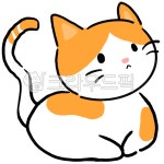 귀여운고양이, 치즈냥이, 치즈태비, 코리아숏헤어, 고양이, 사진,이미지,일러스트,캘리그라피 - 이즈디작가 크라우드픽 - 저작권 걱정 없는 상업용... 