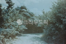 겨울, 눈, snow, 길, 나무, 사진,이미지,일러스트,캘리그라피 - Nhada87작가 크라우드픽 - 저작권 걱정 없는 상업용 이미지