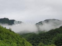 산, 안개, 운산, 구름, 풍경, 사진,이미지,일러스트,캘리그라피 - Njugirl123작가 크라우드픽 - 저작권 걱정 없는 상업용 이미지