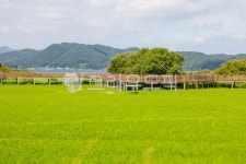 산책, 산책로, walk, stroll, 데크, 사진,이미지,일러스트,캘리그라피 - studio H작가 크라우드픽 - 저작권 걱정 없는 상업용 이미지