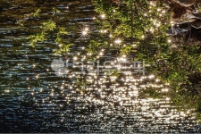 시내, 물, 윤슬, 반짝거림, 햇빛, 사진,이미지,일러스트,캘리그라피 - 천년향작가 크라우드픽 - 저작권 걱정 없는 상업용 이미지