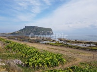 옥외, 자연, 풍경, 바닷가, 성산일출봉, 사진,이미지,일러스트,캘리그라피 - nickpic작가 크라우드픽 - 저작권 걱정 없는 상업용 이미지