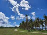 summer, 여름, 옥외, sky, 하늘, 사진,이미지,일러스트,캘리그라피 - cyon39작가 크라우드픽 - 저작권 걱정 없는 상업용 이미지