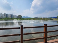 순천, 순천만, 오천그린관장, 호수, 다리, 사진,이미지,일러스트,캘리그라피 - powerjh3작가 크라우드픽 - 저작권 걱정 없는 상업용 이미지