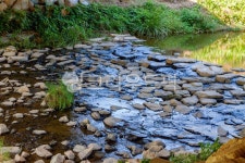 water, 물, creek, 작은만, outdoors, 사진,이미지,일러스트,캘리그라피 - studio H작가 크라우드픽 - 저작권 걱정 없는 상업용 이미지