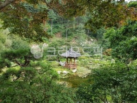 outdoors, 정원, 정자, garden, japanesegarden, 사진,이미지,일러스트,캘리그라피 - kcinjojo작가 크라우드픽 - 저작권 걱정 없는... 